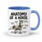 A white ceramic coffee mug with a blue interior and handle, featuring a humorous 'Anatomy of a Horse' graphic with black text labels pointing to parts of a horse. From Coffee and Moo NZ.