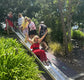 A woman in a red dress slides down a metal slide in an outdoor park setting, surrounded by lush green plants and trees, with other people standing on a wooden platform behind her. Pick a card from the 'Getting Lost Girls Road Trip Edition' game. Pack Includes 26 direction and activity cards, ready for a weekend getaway. Purchase yours from Coffee and Moo NZ