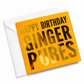 A square greeting card with a bright yellow-orange background and bold metallic gold foil text reading 'HAPPY BIRTHDAY GINGER PUBES,' shown with a white envelope on a clean white background. grab you feral mate a card from Coffee and Moo NZ.