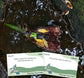 The Getting Lost Scavenger Hunt Edition. image shows 2 cards from the game. The cards show prompts like 'Make a boat from things you can find around you' and 'Find some water to sail it on. Grab your game now from Coffee and Moo NZ.