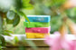 A stack of four small rectangular suitcases for the "Getting Lost" game in blue, green, pink, and yellow, placed on a wooden surface with blurred green leaves and pink flowers in the foreground and background. Purchase from Coffee and Moo NZ.