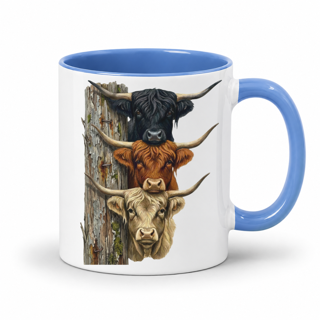 A white ceramic mug with a blue interior and handle, featuring a printed graphic of three Highland cows stacked vertically next to a weathered fence post.  From Coffee and Moo NZ.